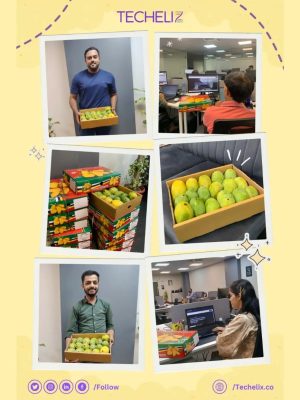 Techelix team celebrating success and workplace culture